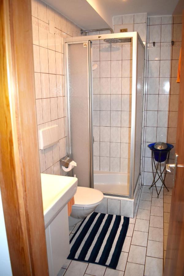 Apartment Ladinger Radstadt